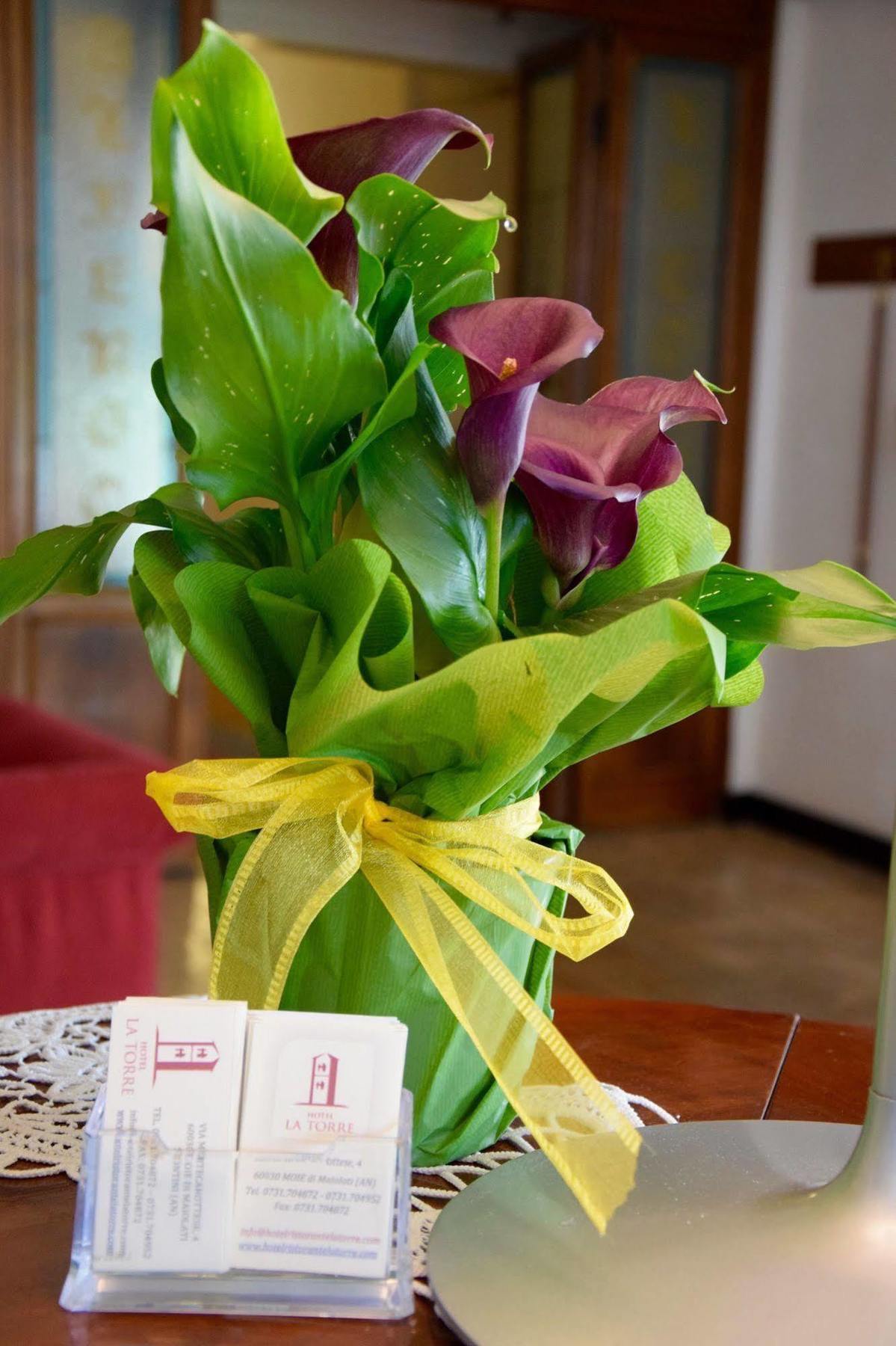 La Torre Hotel Moie 外观 照片